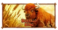 Buffalo King